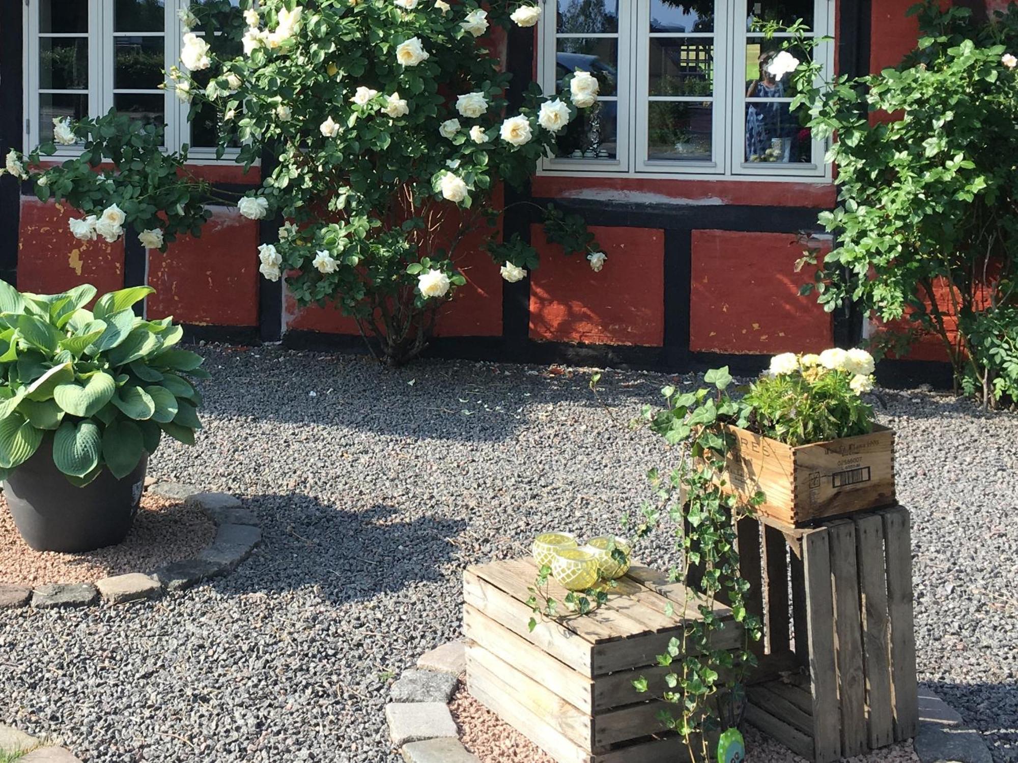 Lolland Bed & Breakfast Søllested Kültér fotó